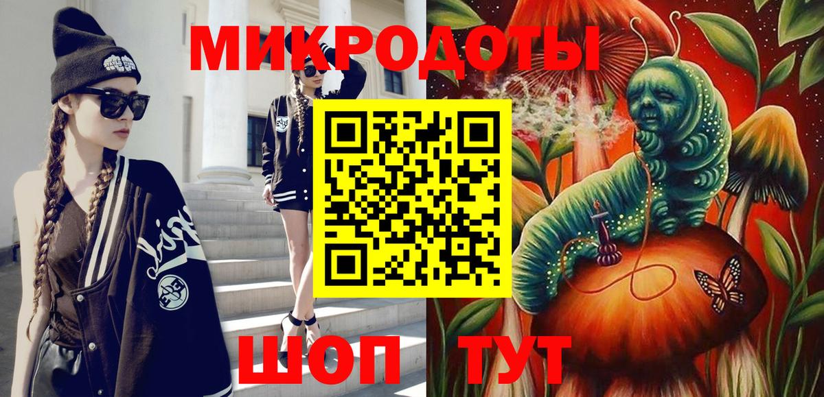 Псилоцибиновые грибы Psilocybe Ижевск